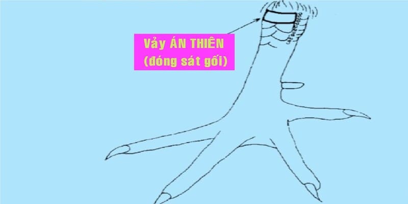 vay-ga-an-thien-ly-do